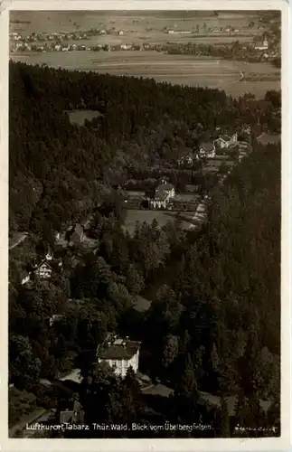 Tabarz/Thür. Wald, Blick vom Übelbergfelsen -516862