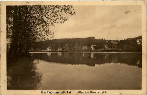 Georgenthal in Thüringen, Villen am Hammerteich -516846