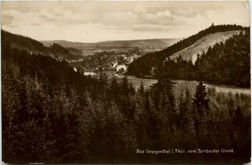 Bad Georgenthal vom Tambacher Grund -517282