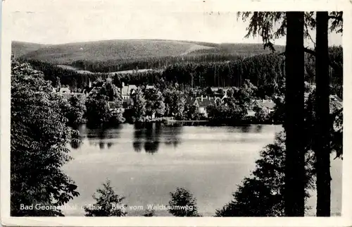 Georgenthal in Thüringen, Blick vom Waldsaumweg -517300