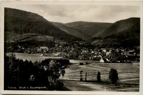 Tabarz, Blick v. Deysingslust -517112