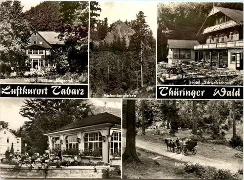 Kurort Tabarz, div. Bilder -500786