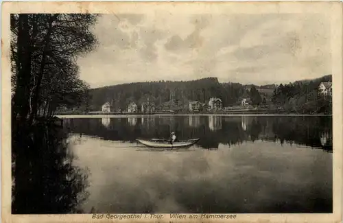 Georgenthal, Villen am Hammersee -517416