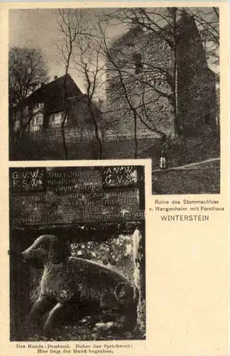 Waltershausen, Ruine des Stammschloss v. Wangenheim, Winterstein -518400