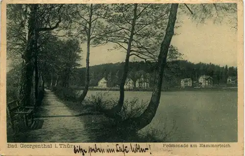 Bad Georgenthal, Promenade am Hammerteich -517292