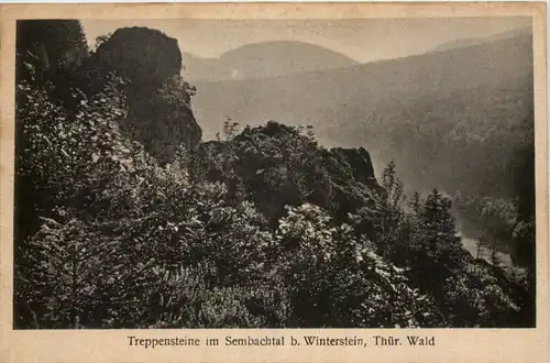 Winterstein/Thür. Wald, Treppensteine im Sembachtal -517446