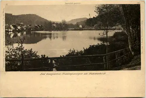 Georgenthal in Thüringen, Frühlingsmorgen am Hammerteich -517298