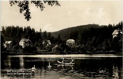 Georgenthal in Thüringen, Partie am Hammerteich -517302