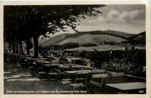 Tabarz, Blick von Deysingslust auf Tabarz und G. Inselsberg -517138