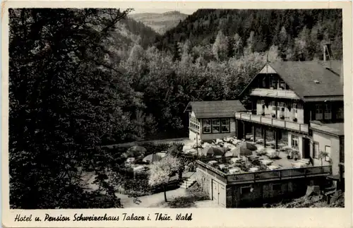 Tabarz, Hotel Schweizerhaus -518218