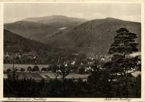 Tabarz, mit Inselberg, Blick vom Querberg -517398