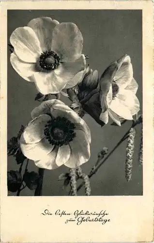 Geburtstag gelaufen in Breslau -626094