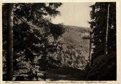 Tabarz, Kickelhahnsprung mit Blick in den Ungeheuren Grund -517392