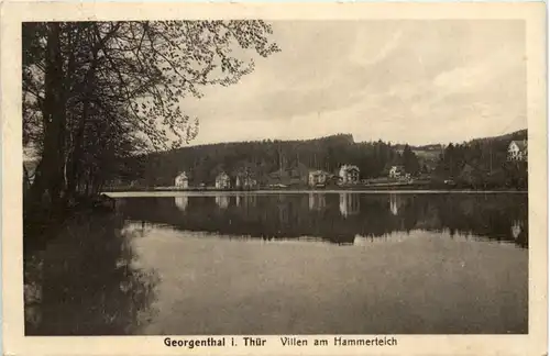 Georgenthal, Villen am Hammerteich -517412