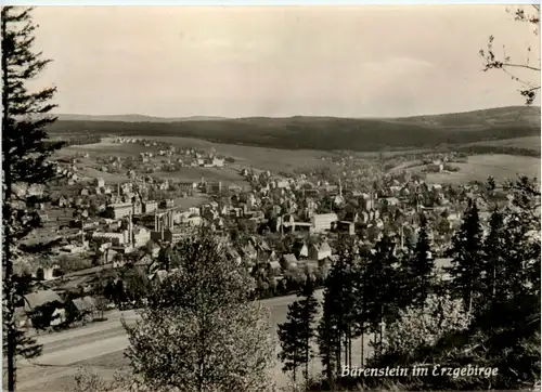 Bärenstein i. Erzgeb., Kohlhaukuppe Turm -501504