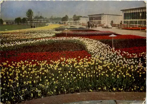 Erfurt - 1. Internationale Gartenbauausstellung 1961 -626494