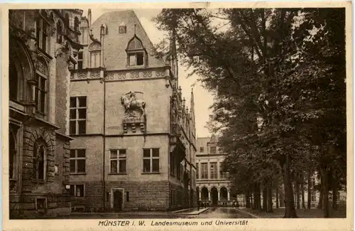 Münster i. W., Landesmuseum und Universität -517886