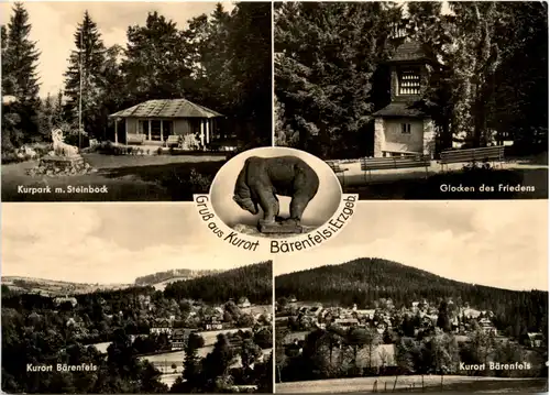 Kurort Bärenfels i. Erzgeb., div. Bilder -501704