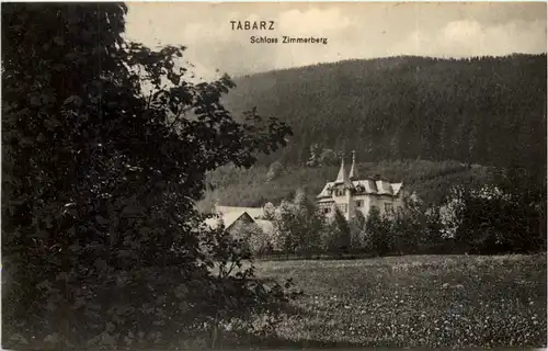 Tabarz, Schloss Zimmerberg -518406