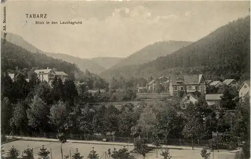 Tabarz/Thür. Wald, Blick in den Lauchagrund -516856