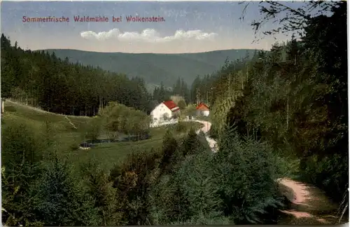 Sommerfrische Waldmühle bei Wolkenstein -626444