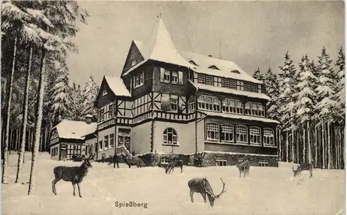 Spiessberg -518172
