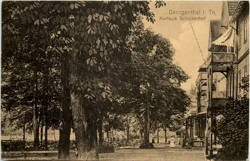 Georgenthal in Thüringen,, Kurhaus Schützenhof -518592