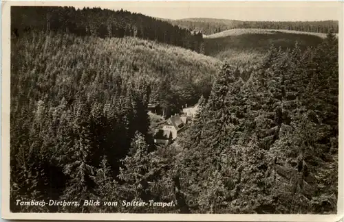 Tambach - Dietharz, Blick vom Spitter-Tempel -517194