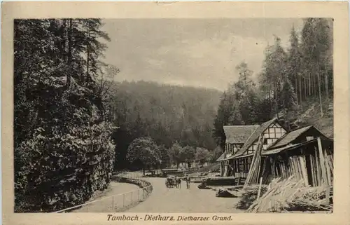 Tambach - Dietharz, Dietharzer Grund -518382
