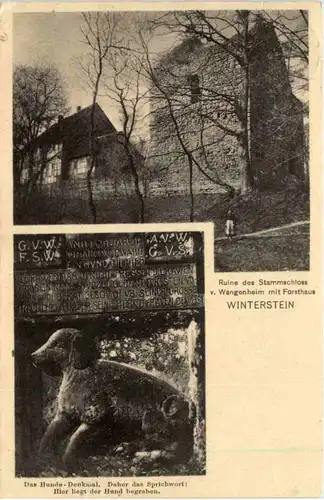 Waltershausen, Ruine des Stammschloss v. Wangenheim, Winterstein -518402