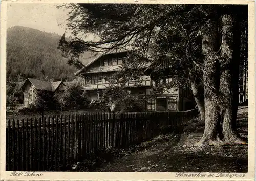 Tabarz, Schweizerhaus im Lauchagrund -517350