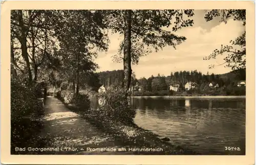 Georgenthal in Thüringen, Promenade am Hammerteich -517408