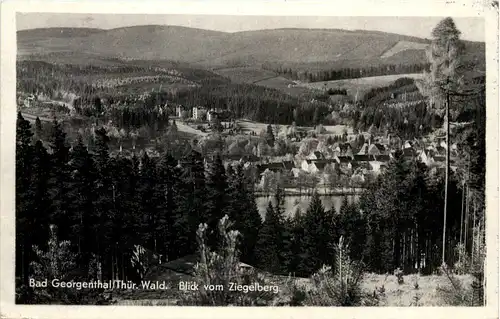 Georgenthal in Thüringen,, Blick vom Ziegelberg -517428