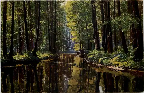 Schmarse Züllichau -626062