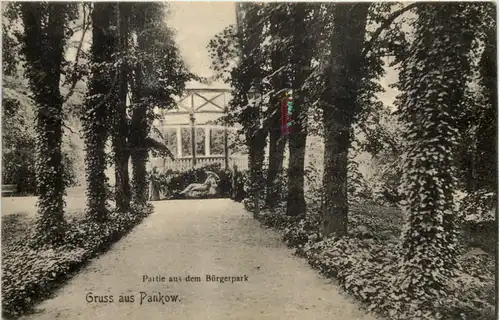 Gruss aus Pankow - Partie im Bürgerpark -626358