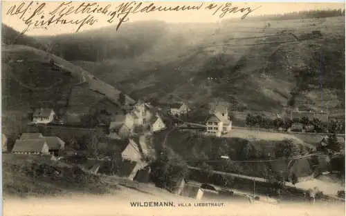 Wildemann - Villa Liebetraut -626596