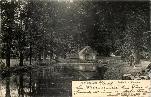 Gravenstein - PArtie bei der Försterei -628284