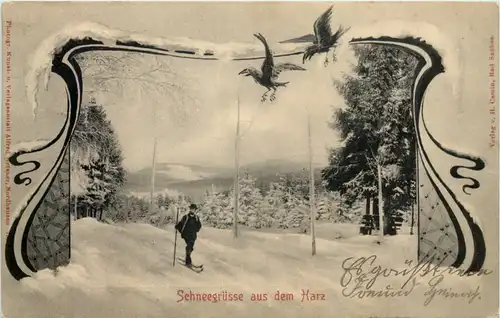 Schneegrüsse aus dem Harz - Ski -627320