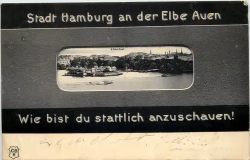 Stadt Hamburg an der Elbe Auen -628304