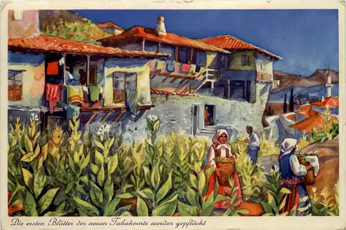 Tabakdorf Melnik -628514