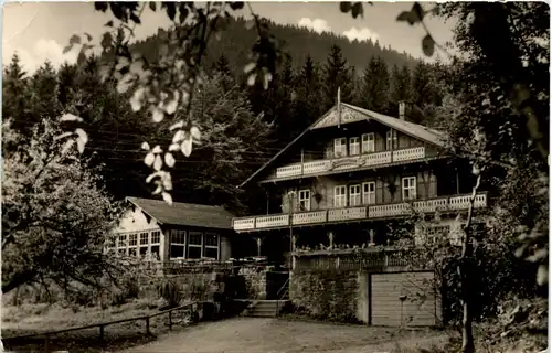 Tabarz, Hotel Schweizerhaus -518206