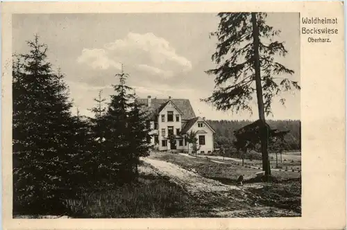 Waldheimat Bockswiese Oberharz -503326