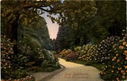 Bad Salzbrunn - Partie im Schaffertal -628644