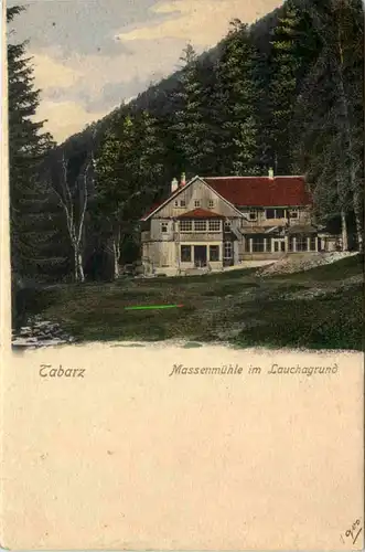 Tabarz, Massenmühle im Lauchagrund -518342