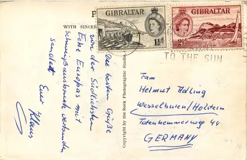 Greetings from Gibraltar - Affe Monkey -627276