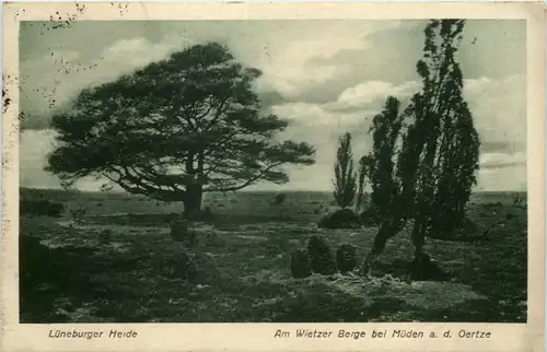 Lüneburger Heide - Am Wietzer Berge bei Müden -627336