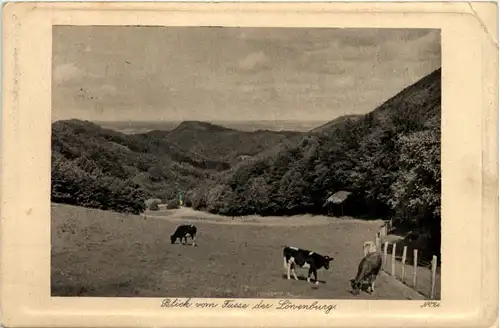 Blick vom Fusse der Lörvenburg -627456