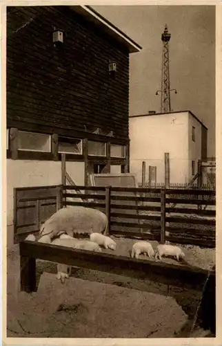 Berlin - Deutsche Bauausstellung 1931 -628038