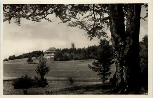 Raichberg mit Nägelehaus u. Ausichtsturm -518674