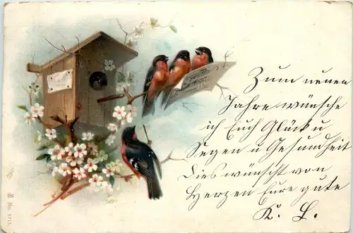 Vögel gelaufen in Seichau Schlesien -628266